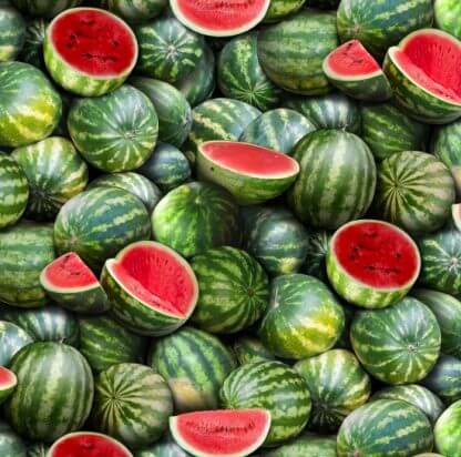 Watermelon 563-green