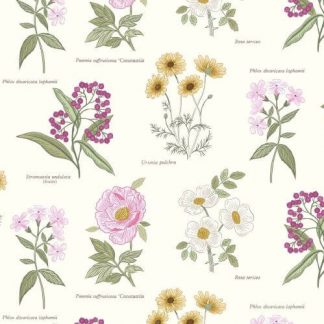 Lewis & Irene - Botanic Garden - Flowers on Cream - A453.1