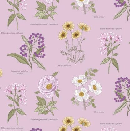 Lewis & Irene - Botanic Garden - Flowers on Lilac - A453.3