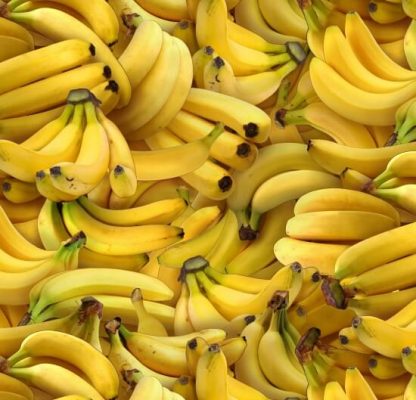 Food Festival - Banana - 461