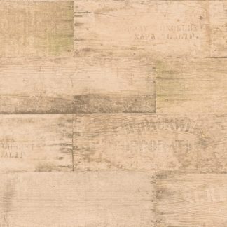 Moda Fabrics - Flea Market Moxie by Cathy Holden - 7365-13