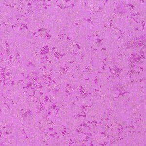 Fairy Frost - Pearlized Metallic - Azalea