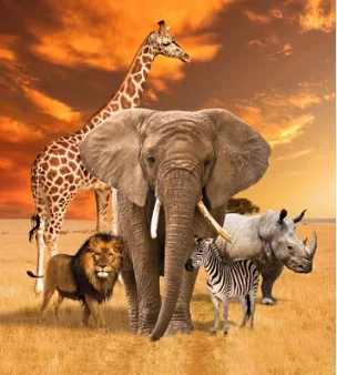 Kennard & Kennard - African Safari - 1 yard panel 0223B