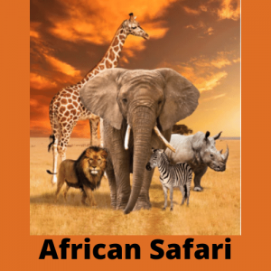 African Safari