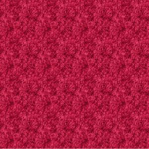 Acid Wash by Libs Elliott 92015-28 Raspberry