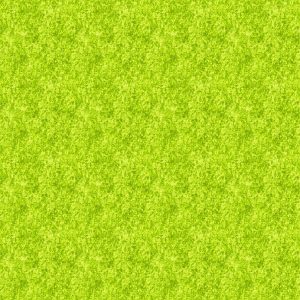 Acid Wash by Libs Elliott 92015-72 Pistachio