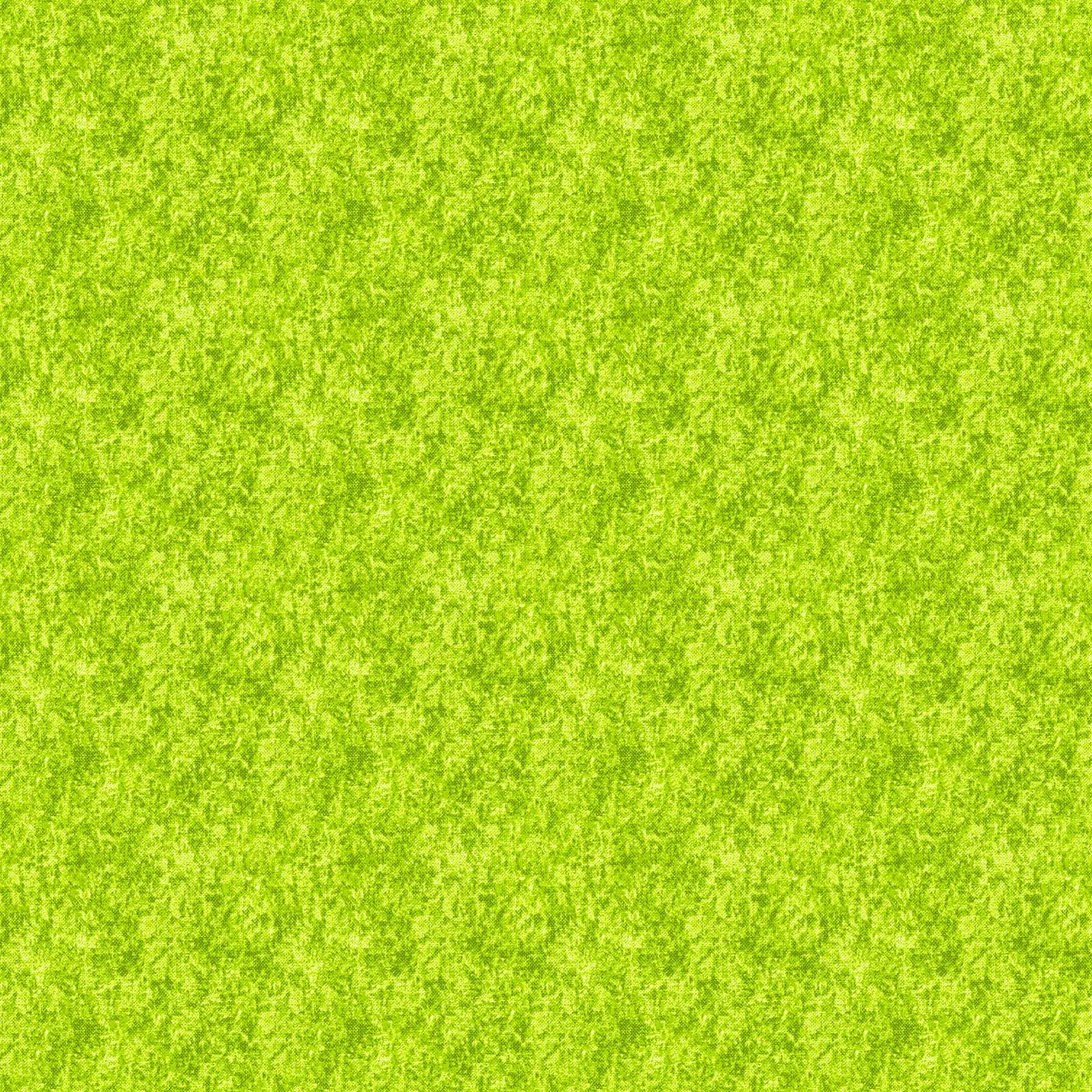 Acid Wash by Libs Elliott 92015-72 Pistachio