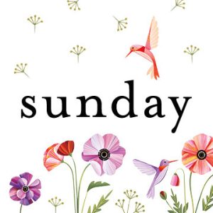 Sunday by Figo Fabrics