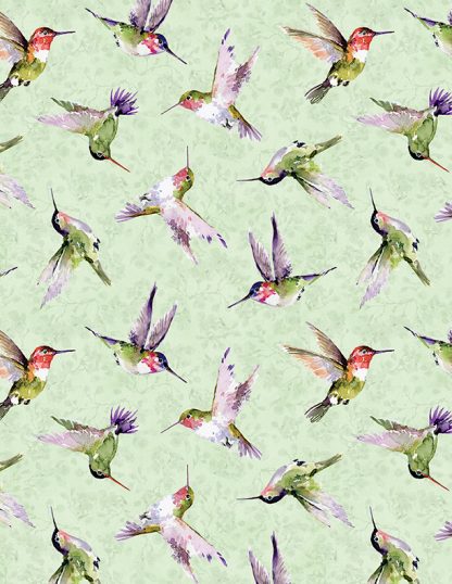 Hummingbird Floral by Susan Winget - Hummingbird Toss Green