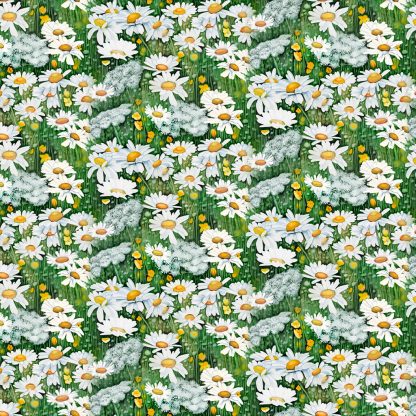 Woodland by Cedar West - Digital Daisies Y4134-1 White
