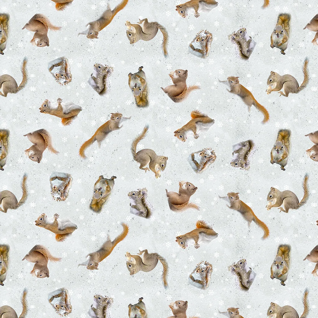 The Secret Life of Squirrels II by Nancy Rose - Squirrels Mist Grey