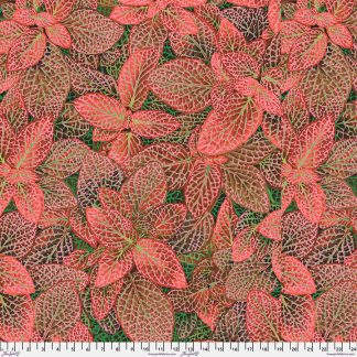 Kaffe Collective - Fittonia -Red