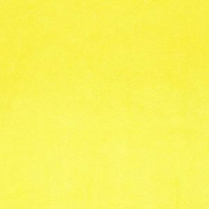 Shannon Cuddle - Canary