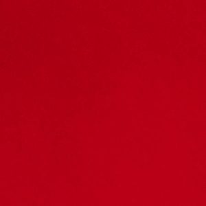 Shannon Cuddle - Cardinal