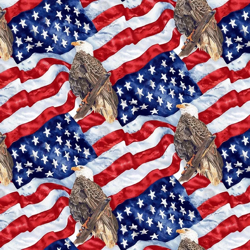 Wings of Freedom - Flag and Eagle
