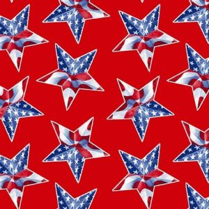 Wings of Freedom - Tossed Star