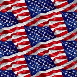 Wings of Freedom - Packed Flag