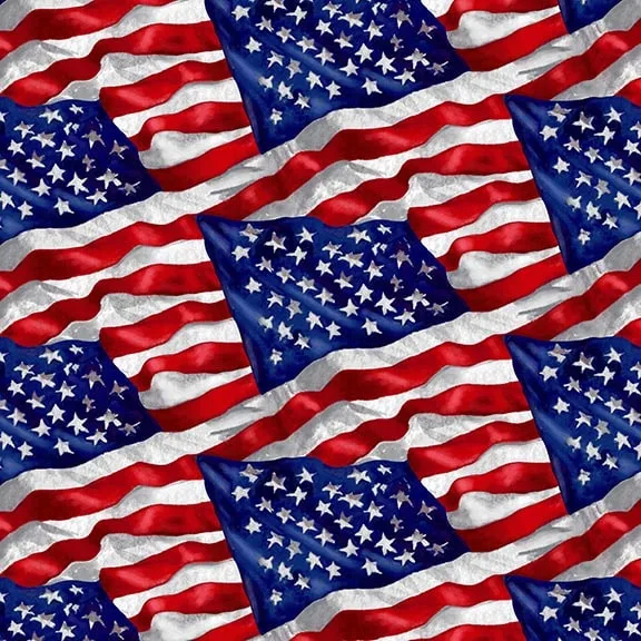 Wings of Freedom - Packed Flag