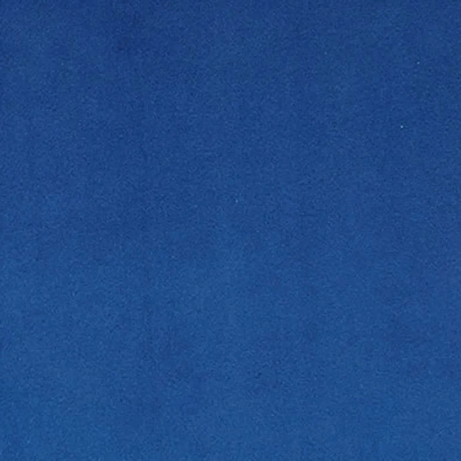 Shannon Cuddle - Electric Blue