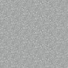 Transparency - Beads - Gray
