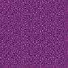 Transparency - Beads - Magenta