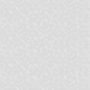 Transparency - Linework - Granite
