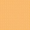 Transparency Watercolor - Paisley - Mango