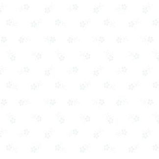 Classic Keepsakes -Daisy Garden- 14657 White