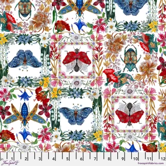 Moths Beetles - White || Nocturnal Creatures