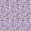 Violeta - Perfect Pansies - Lilac