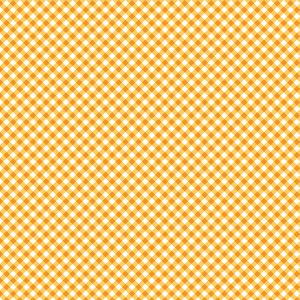 Sweet Gingham - Squash