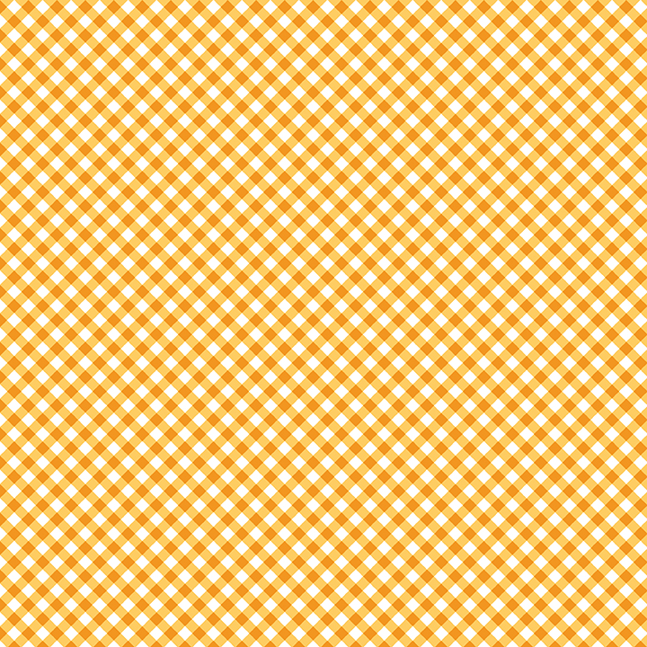 Sweet Gingham - Squash
