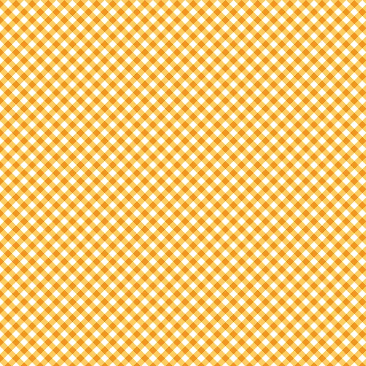 Sweet Gingham - Squash