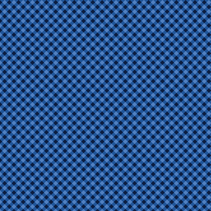 Sweet Gingham - Ocean