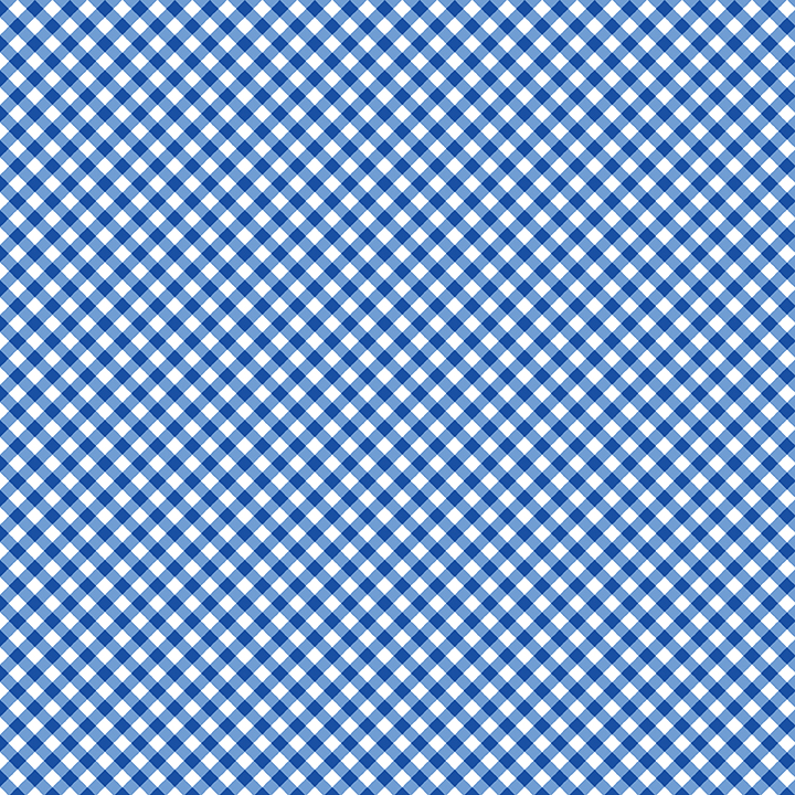 Sweet Gingham - River